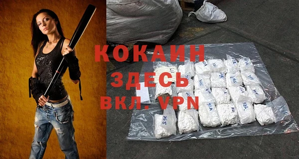 спайс Заречный