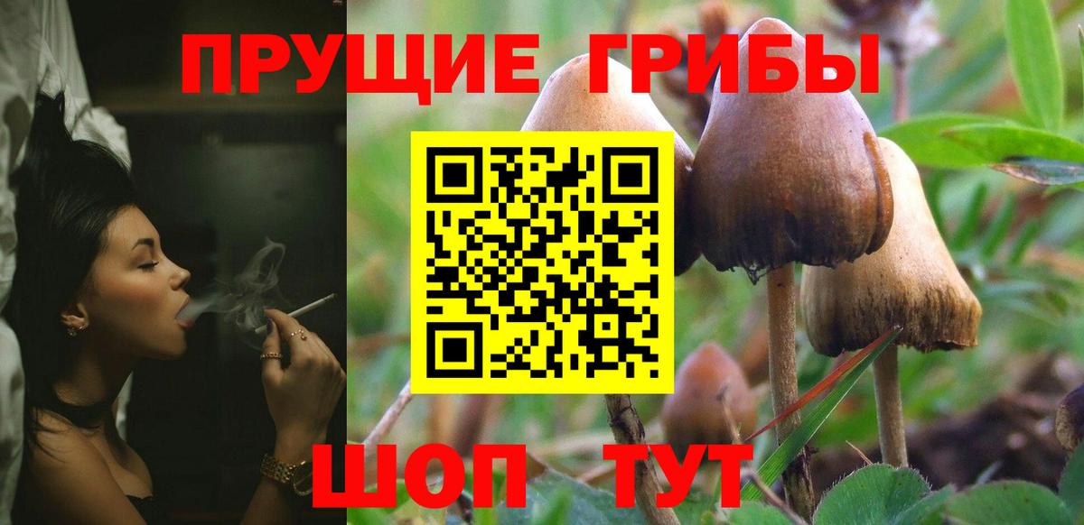 Галлюциногенные грибы Cubensis  Псилоцибиновые грибы ЛСД  Вход с VPN  Морозовск 