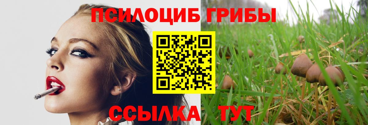Галлюциногенные грибы мухоморы Морозовск